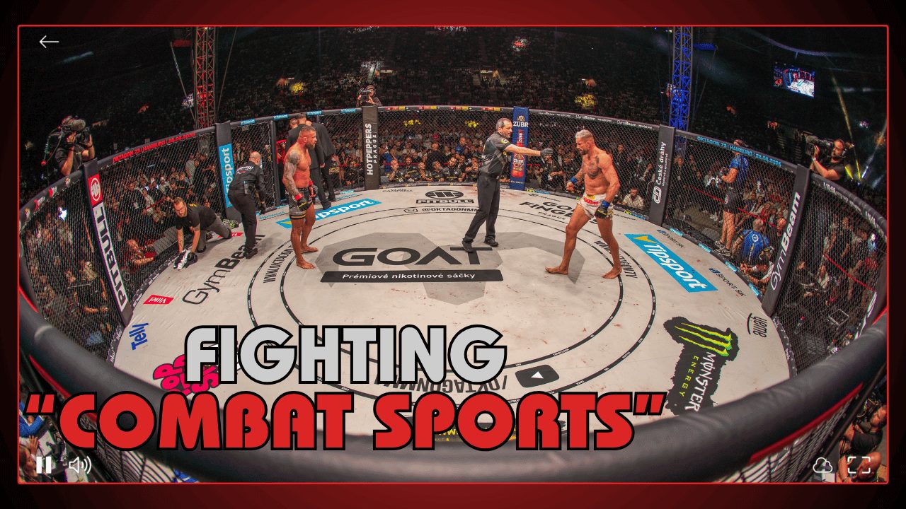 Fighting Combat Sports